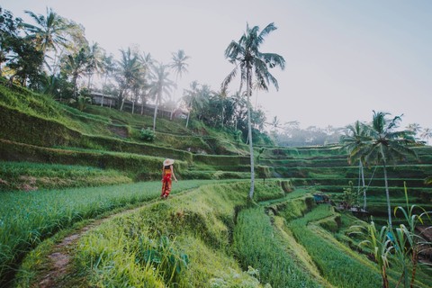 Best of Ubud Tour with Jungle Swing