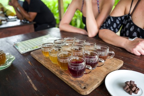 coffee plantation
