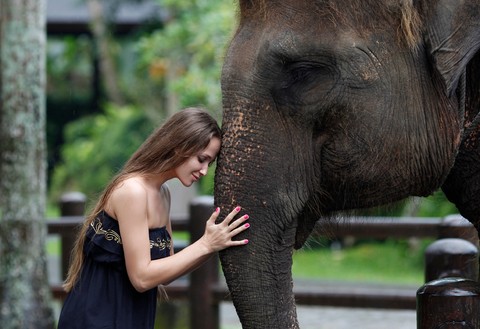Taro Elephant Sanctuary with Volcano and Jungle Swing