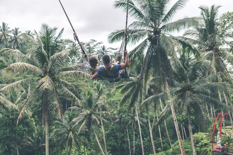 swing 3