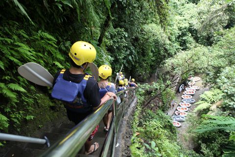 Full-Day Ayung River White Water Rafting and Ubud Tour