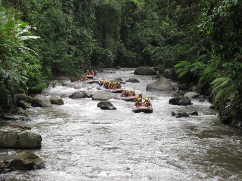 Ubud: Ayung River Rafting Include Lunch