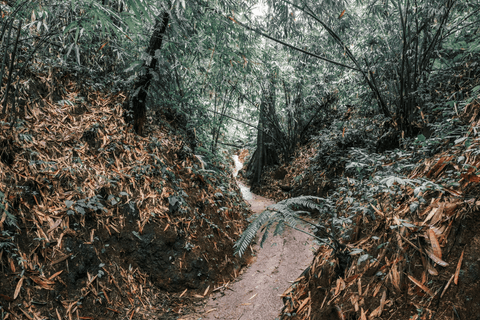DJI_0393
