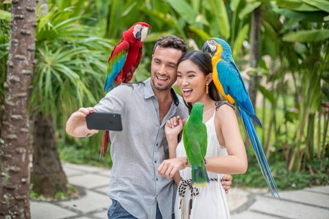 Bali Bird Park Admission Ticket