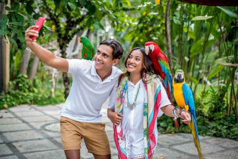 Bali Bird Park Admission Ticket
