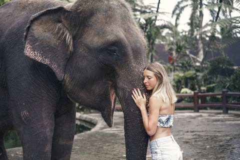 White Water Rafting, Elephant Sanctuary and Jungle Swing Tour