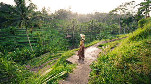 Ubud White Water Rafting, Rice Terrace and Jungle Swing