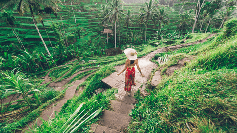 Private Full-Day Tour: Balinese Temples and Rice Terraces