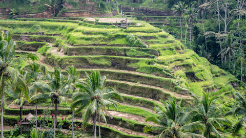 Besakih Temple Tour: the Biggest Temple in Bali