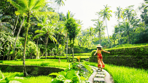 tegalalang rice terrace