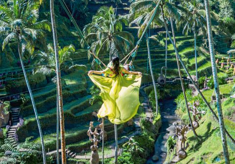 Cretya Ubud, Monkey Forest, and Tegalalang Rice Terrace with Extreme Swing Private Tour