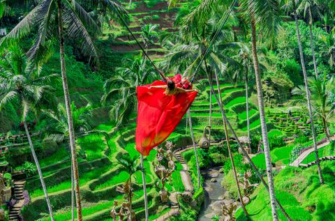 Cretya Ubud, Monkey Forest, and Tegalalang Rice Terrace with Extreme Swing Private Tour
