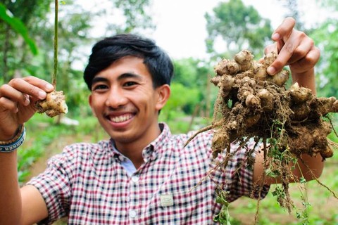 Ubud Cooking Class, Rice Terraces and Tirta Empul Temple Tour