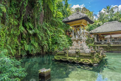 Ubud Top Attractions: Waterfalls, Temples and Rice Terraces