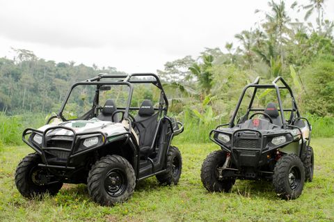 Jungle Buggy Adventure and Ubud Tour