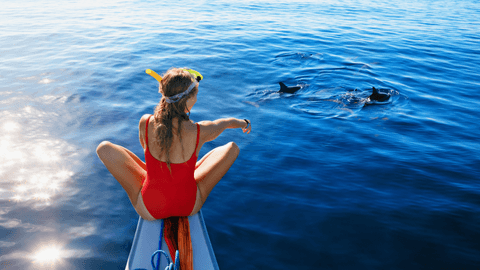 Lovina Dolphin Watching & Ulun Danu Beratan Temple Tour