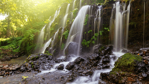 Private All Inclusive: North of Bali Waterfalls Tour