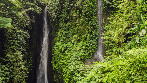 Private All Inclusive: North of Bali Waterfalls Tour
