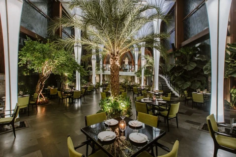 Best Restaurants in Seminyak: Ultimate Guide to Bali’s Top Dining Spots
