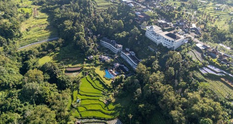 Discover the 6 Best Stays in Bedugul for a Refreshing Bali Escape