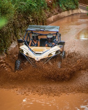 Jungle UTV Buggy Adventure and Ubud Tour