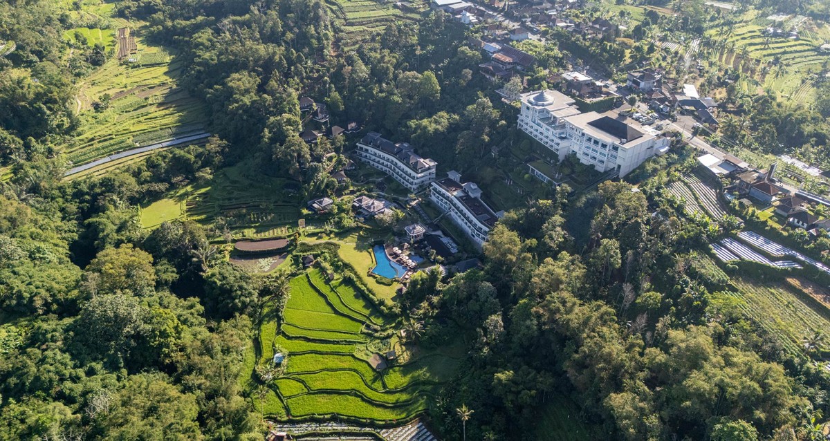 Discover the 6 Best Stays in Bedugul for a Refreshing Bali Escape