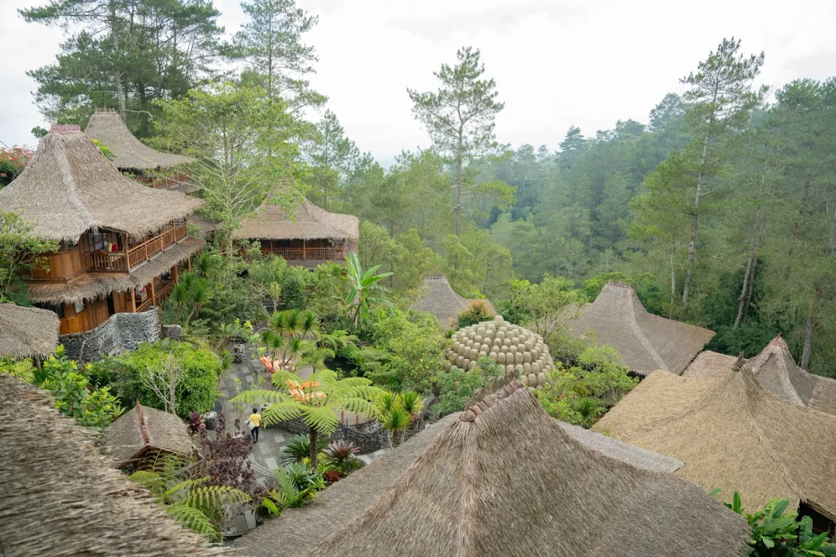 Top 5 Best Stays in Kintamani: Scenic Escapes with Mount Batur Views